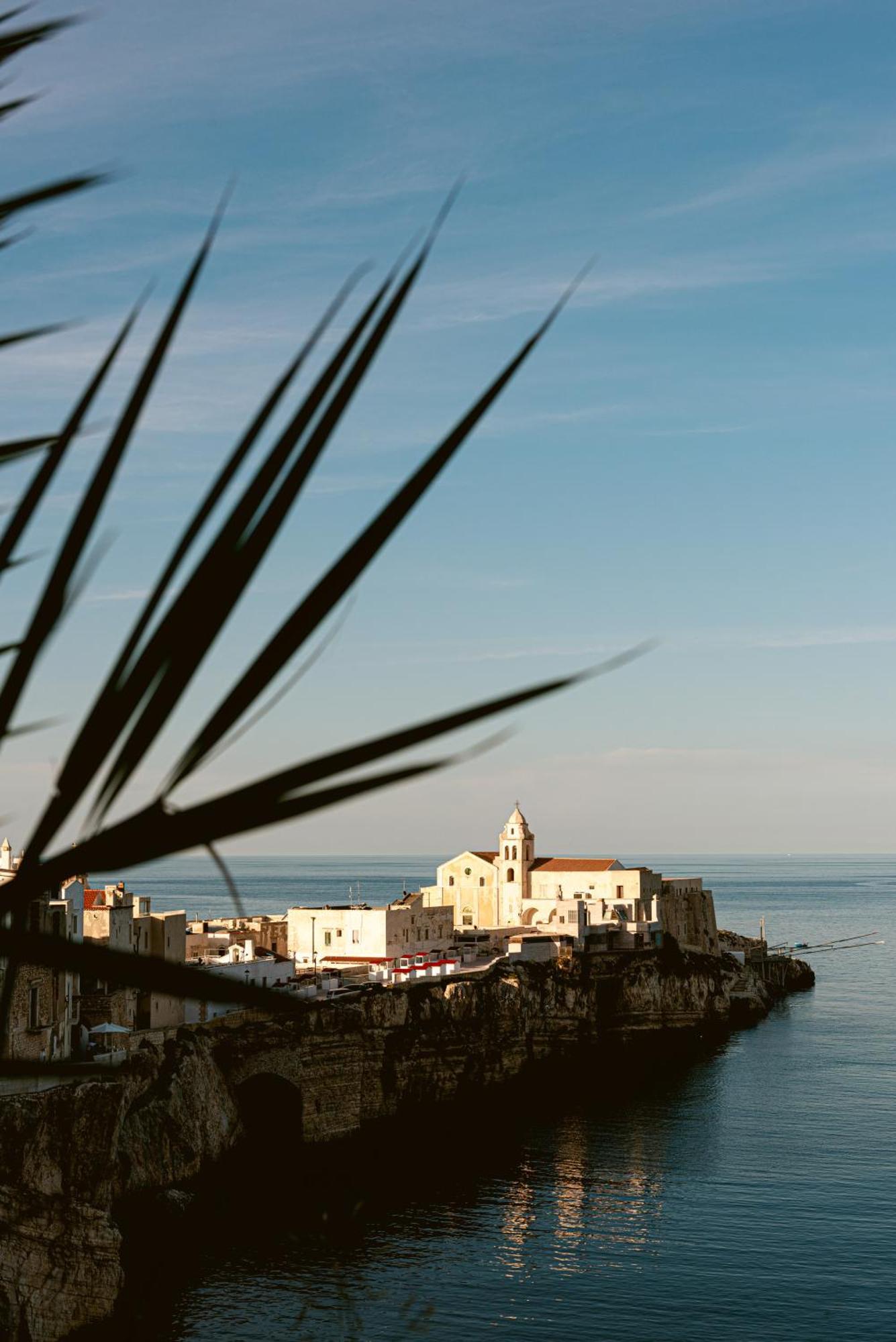 Hotel Degli Aranci Vieste Exterior photo